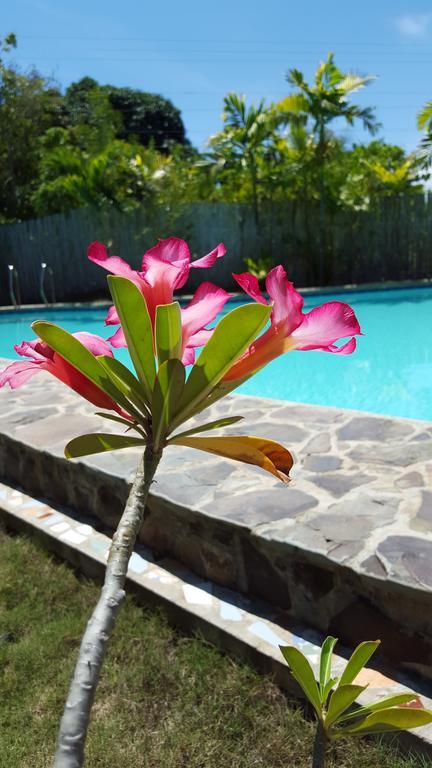 Villa Formosa Bohol Esterno foto